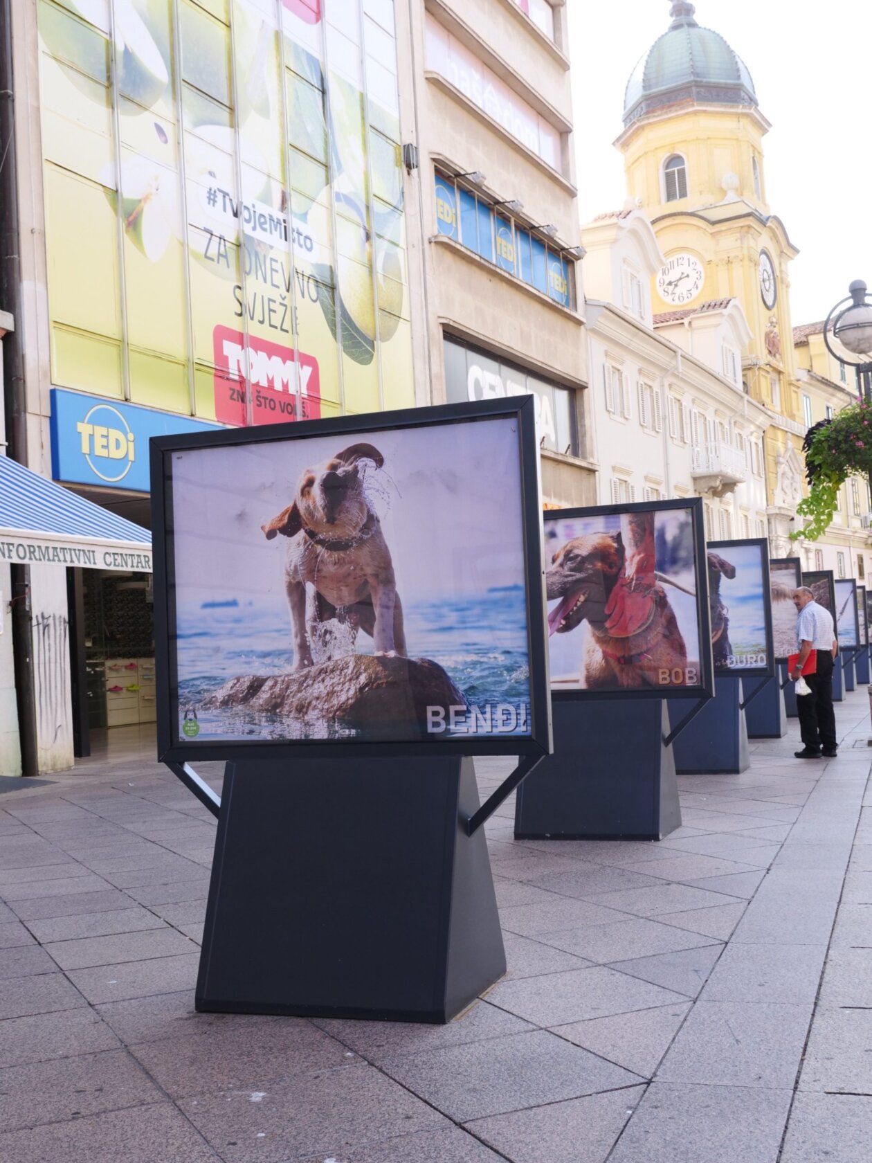 Izlozba-Azilske-ribice-4-1800×2400 (1)