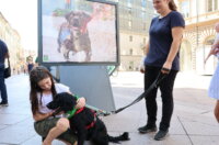 Izlozba-Azilske-ribice-4