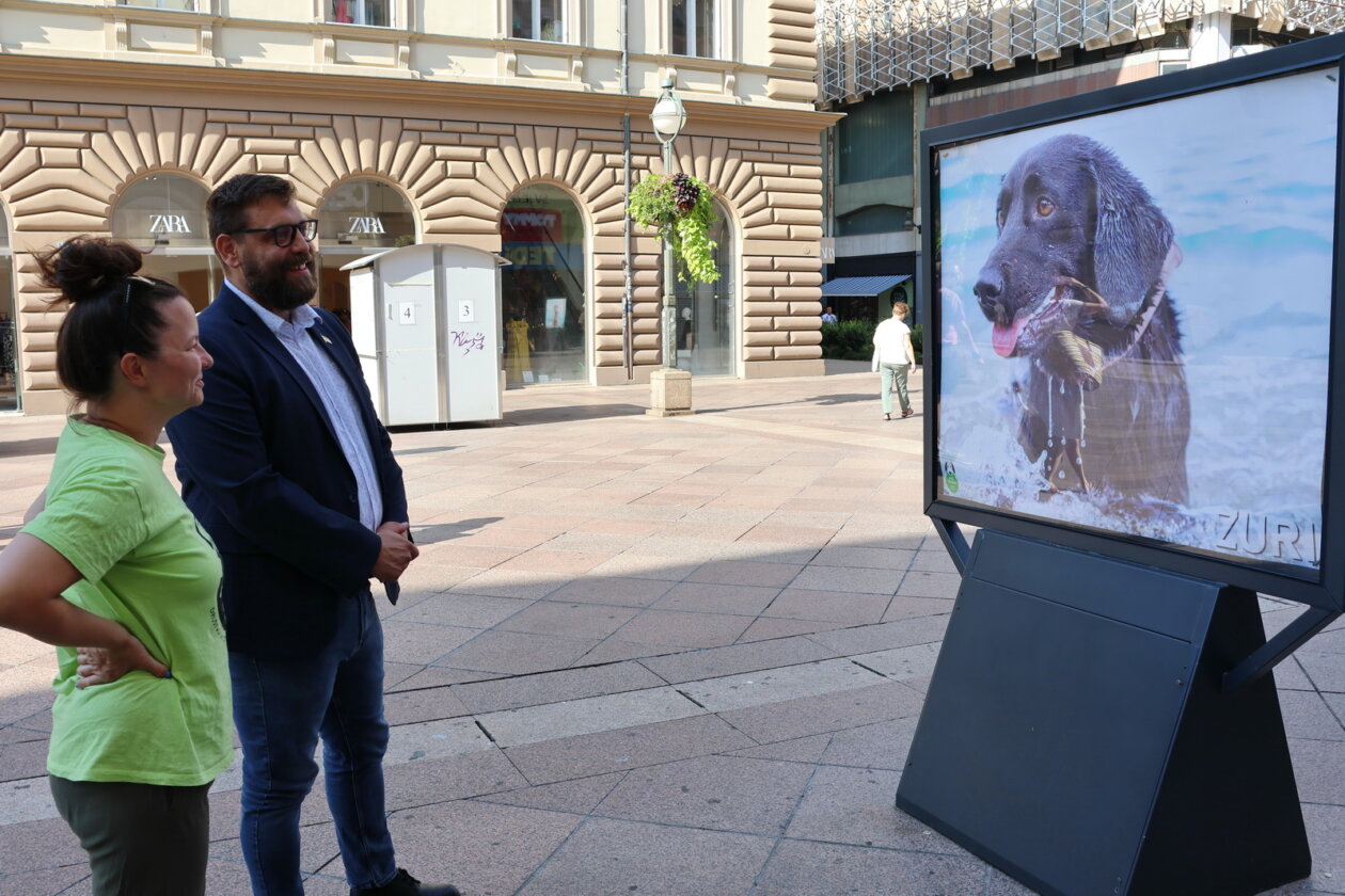 Izlozba-Azilske-ribice-5