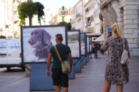 Izlozba-Azilske-ribice-5