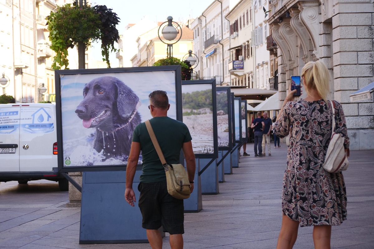 Izlozba-Azilske-ribice-5