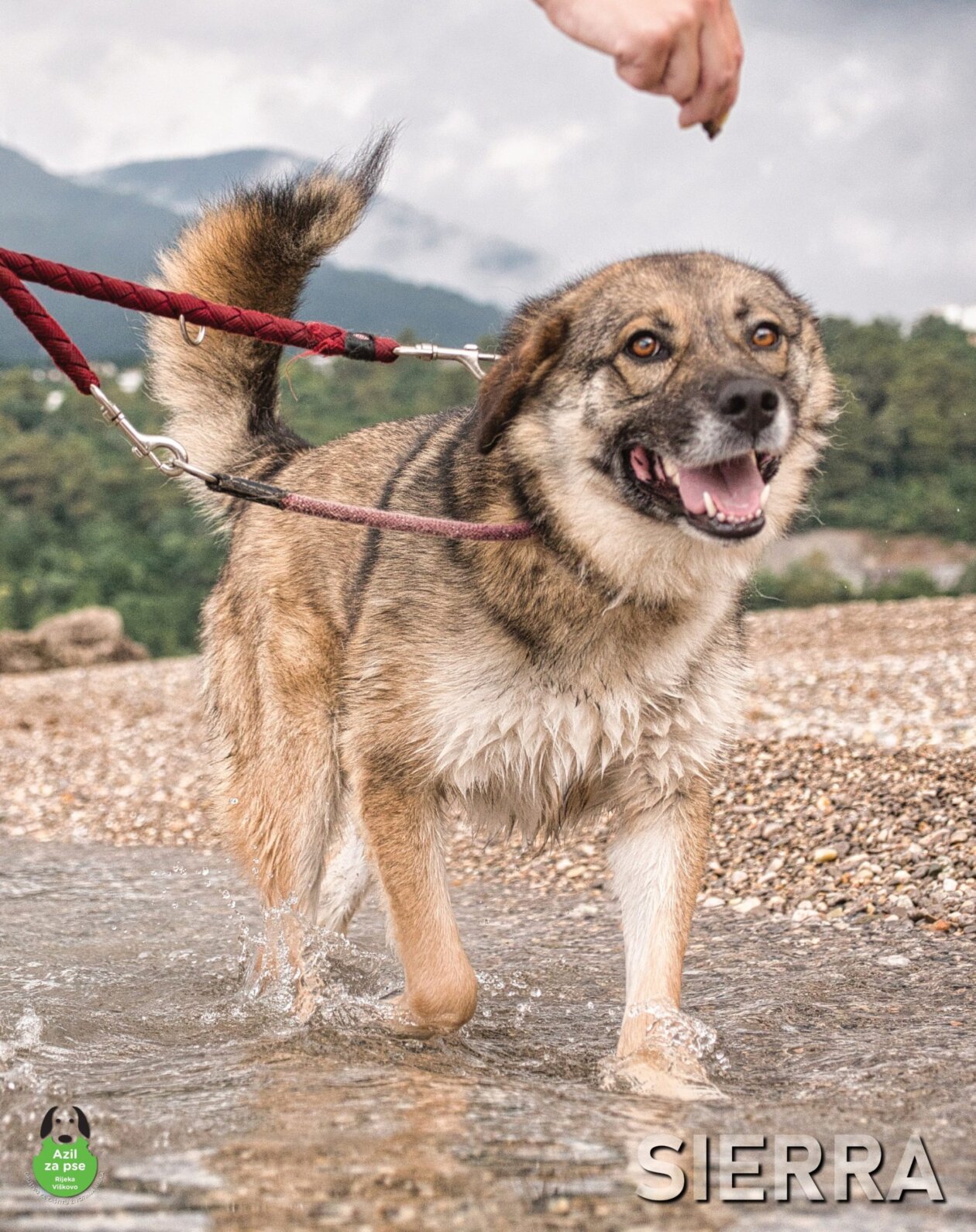 Izlozba-Azilske-ribice-6-1800×2272