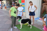 Izlozba-Azilske-ribice-7