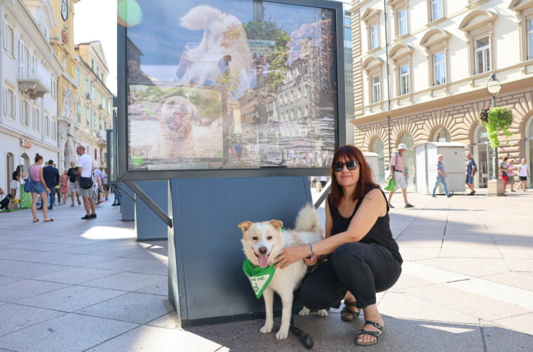 Izlozba-Azilske-ribice-9