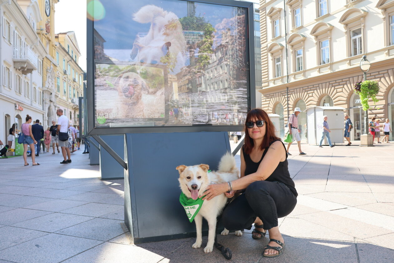 Izlozba-Azilske-ribice-9