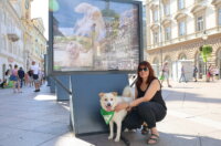 Izlozba-Azilske-ribice-9