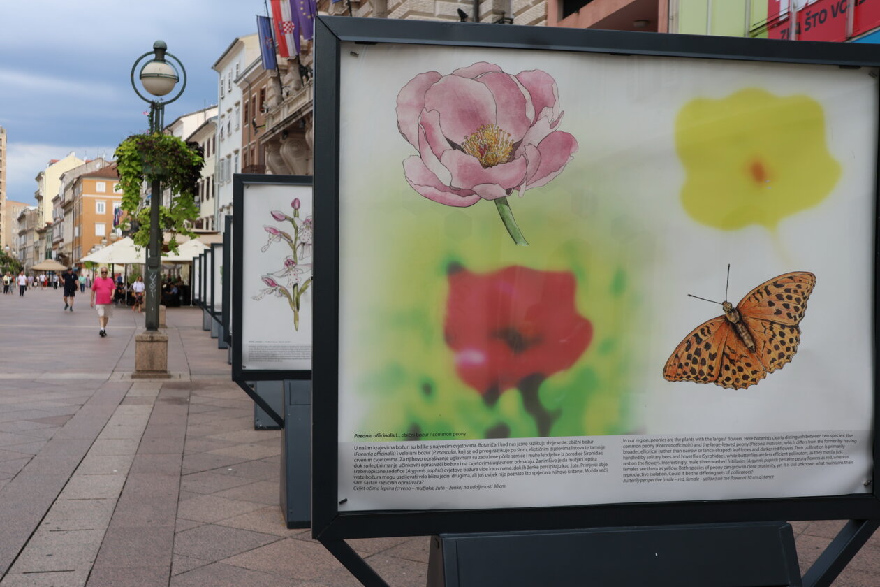 Izlozba-Paralelni-svjetovi-2-Prirodoslovnog-muzeja-Rijeka