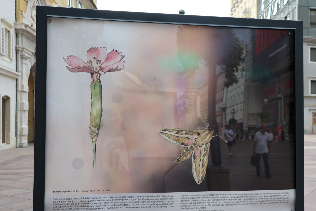 Izlozba-Paralelni-svjetovi-3-Prirodoslovnog-muzeja-Rijeka