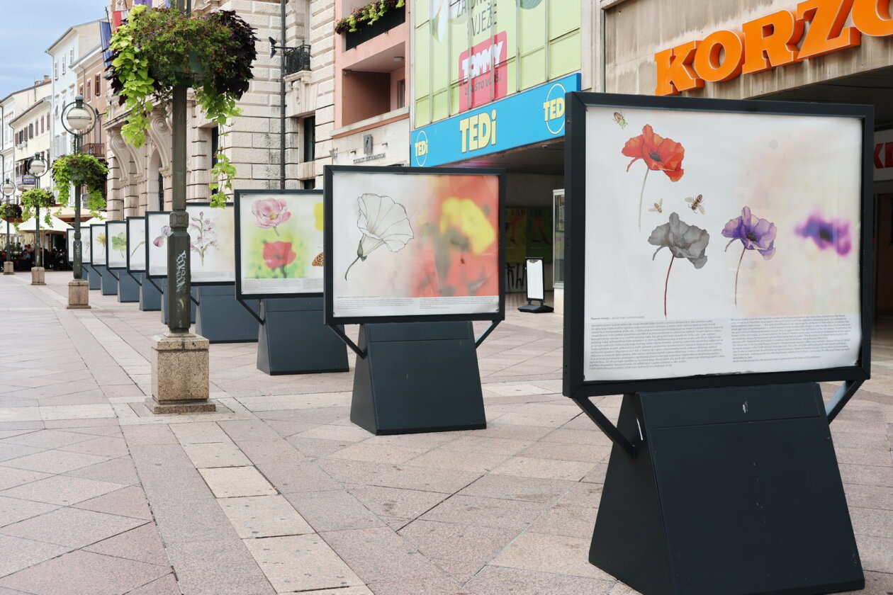 Izlozba-Paralelni-svjetovi-6-Prirodoslovnog-muzeja-Rijeka