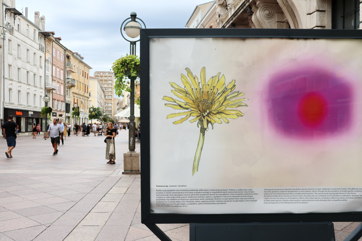 Izlozba-Paralelni-svjetovi-8-Prirodoslovnog-muzeja-Rijeka