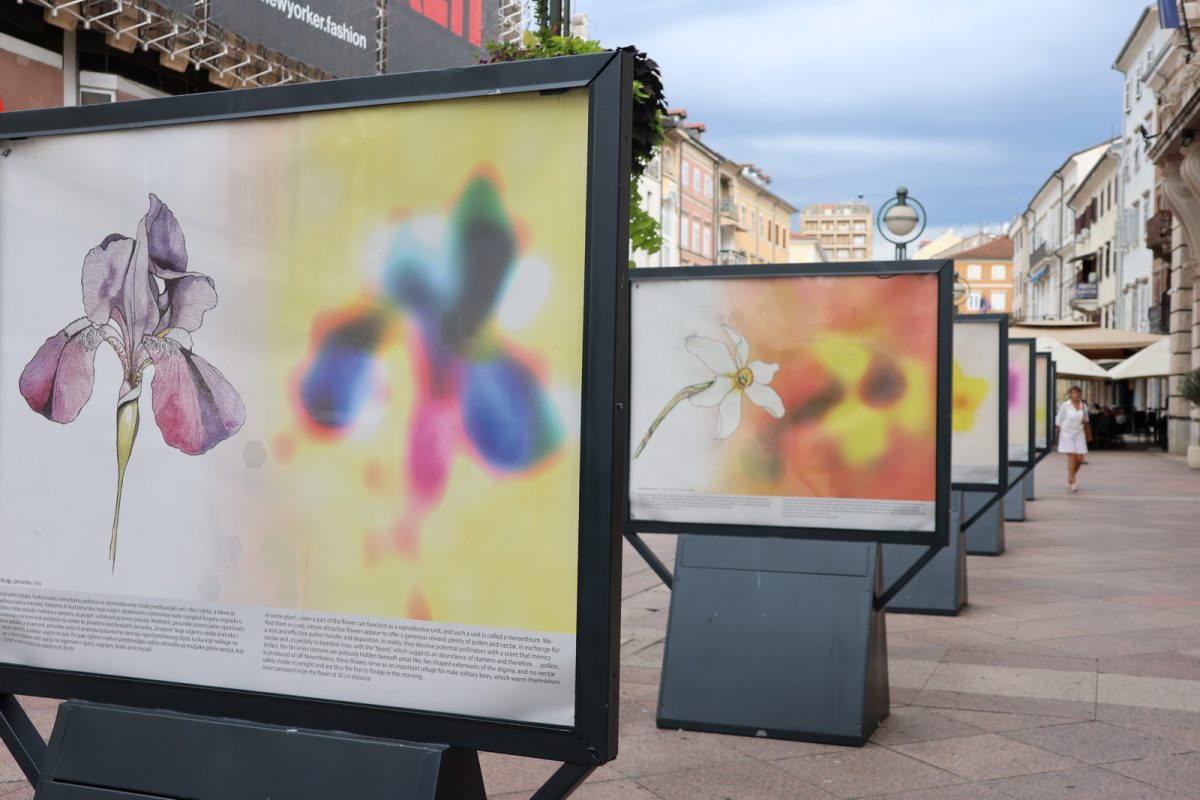 Izlozba-Paralelni-svjetovi-Prirodoslovnog-muzeja-Rijeka-1200×800