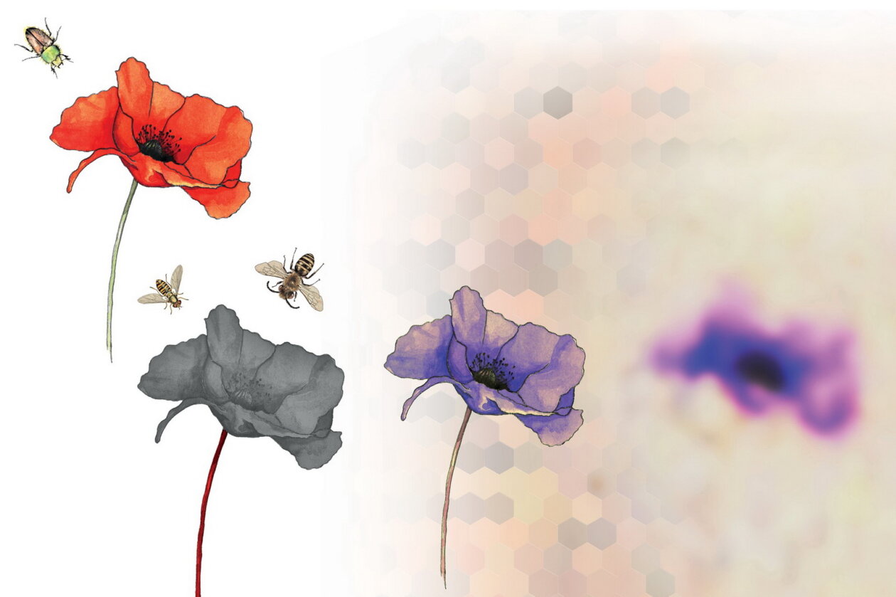 Paralelni-svjetovi-PMR