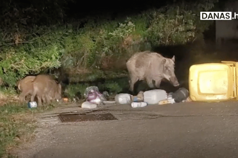 Screenshot 2025-08-18 at 16.59.52