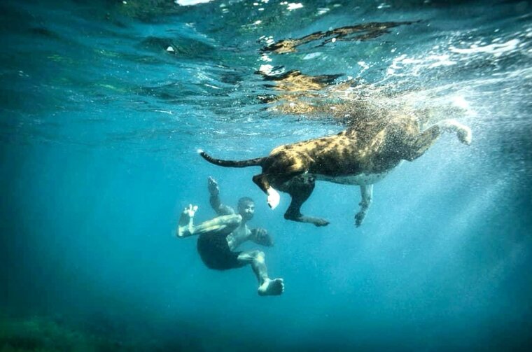 UNDERDOG MARATHON 2025