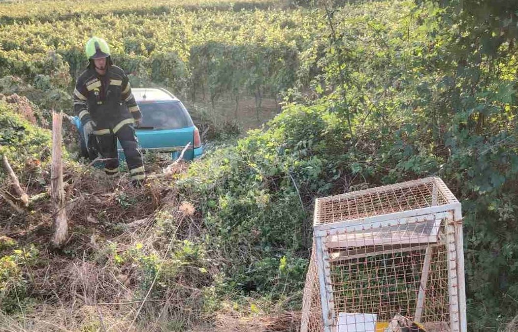 ae8f0844-a0b2-412a-9908-689267f7c0b5