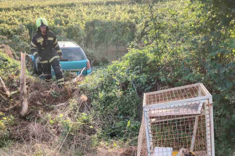 ae8f0844-a0b2-412a-9908-689267f7c0b5