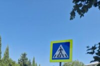 belu5-383×520 belu5-383×520