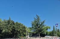 belu7-390×520 belu7-390×520