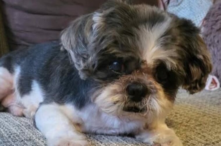 542751622_10234341678297270_8282314365460458224_n (1)