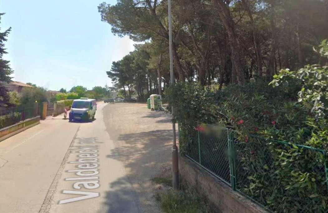 7e305e98-8329-4995-ae76-979ed380badf 7e305e98-8329-4995-ae76-979ed380badf