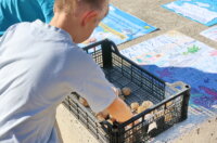 Akcija-ciscenja-plaze-Ploce-25 Akcija-ciscenja-plaze-Ploce-25