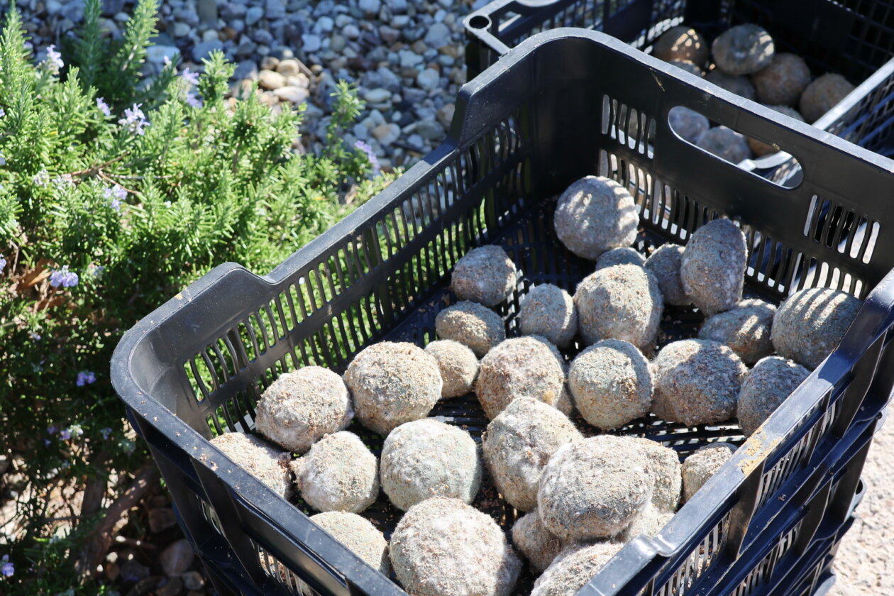 Akcija-ciscenja-plaze-Ploce-51 Akcija-ciscenja-plaze-Ploce-51