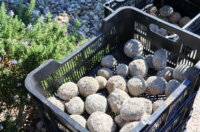 Akcija-ciscenja-plaze-Ploce-51 Akcija-ciscenja-plaze-Ploce-51