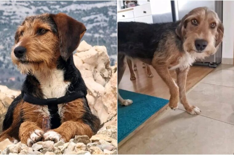 BeFunky-collage (11)