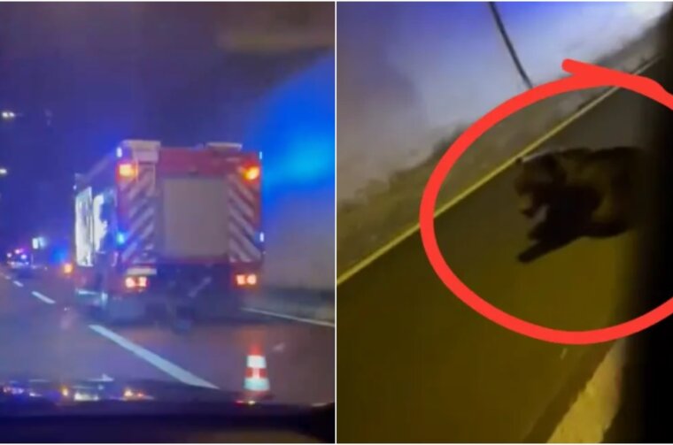 BeFunky-collage (33)