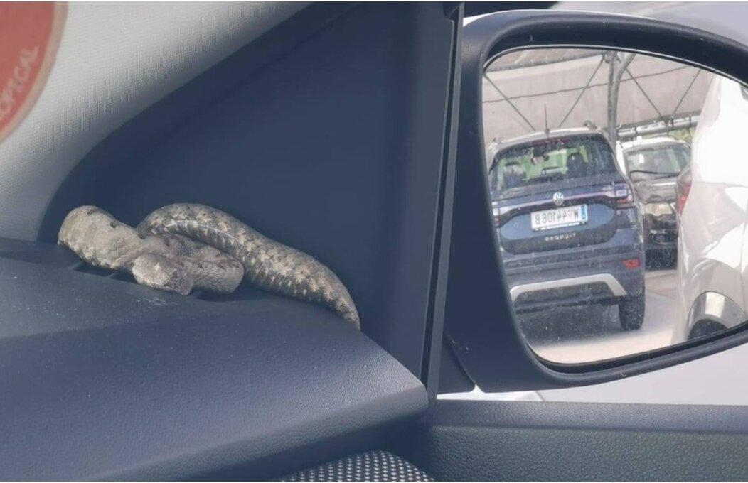 BeFunky-collage (36) BeFunky-collage (36)