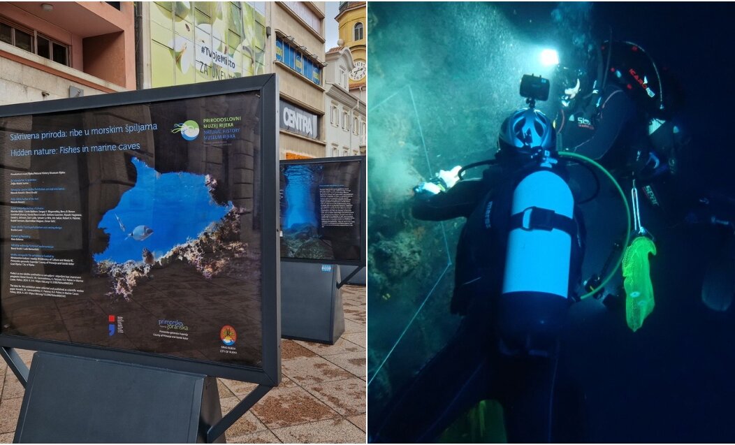 BeFunky-collage (43)