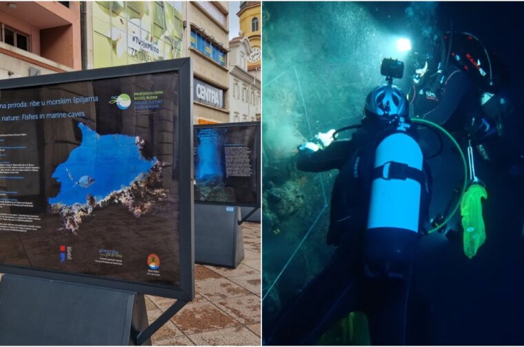 BeFunky-collage (43)