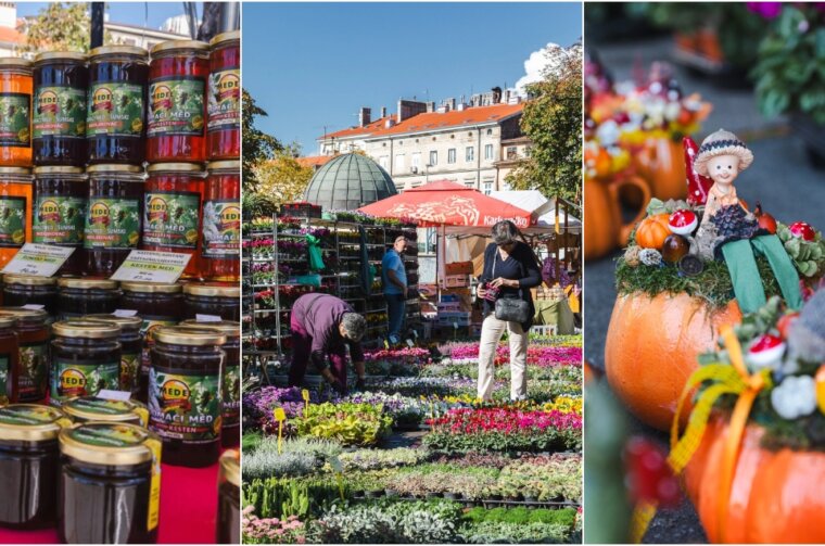 BeFunky-collage (54)