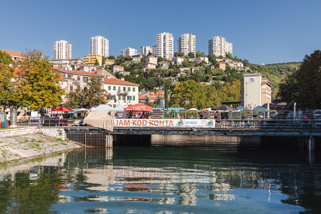 Cvjetni sajam kod Konta-0858 Cvjetni sajam kod Konta-0858