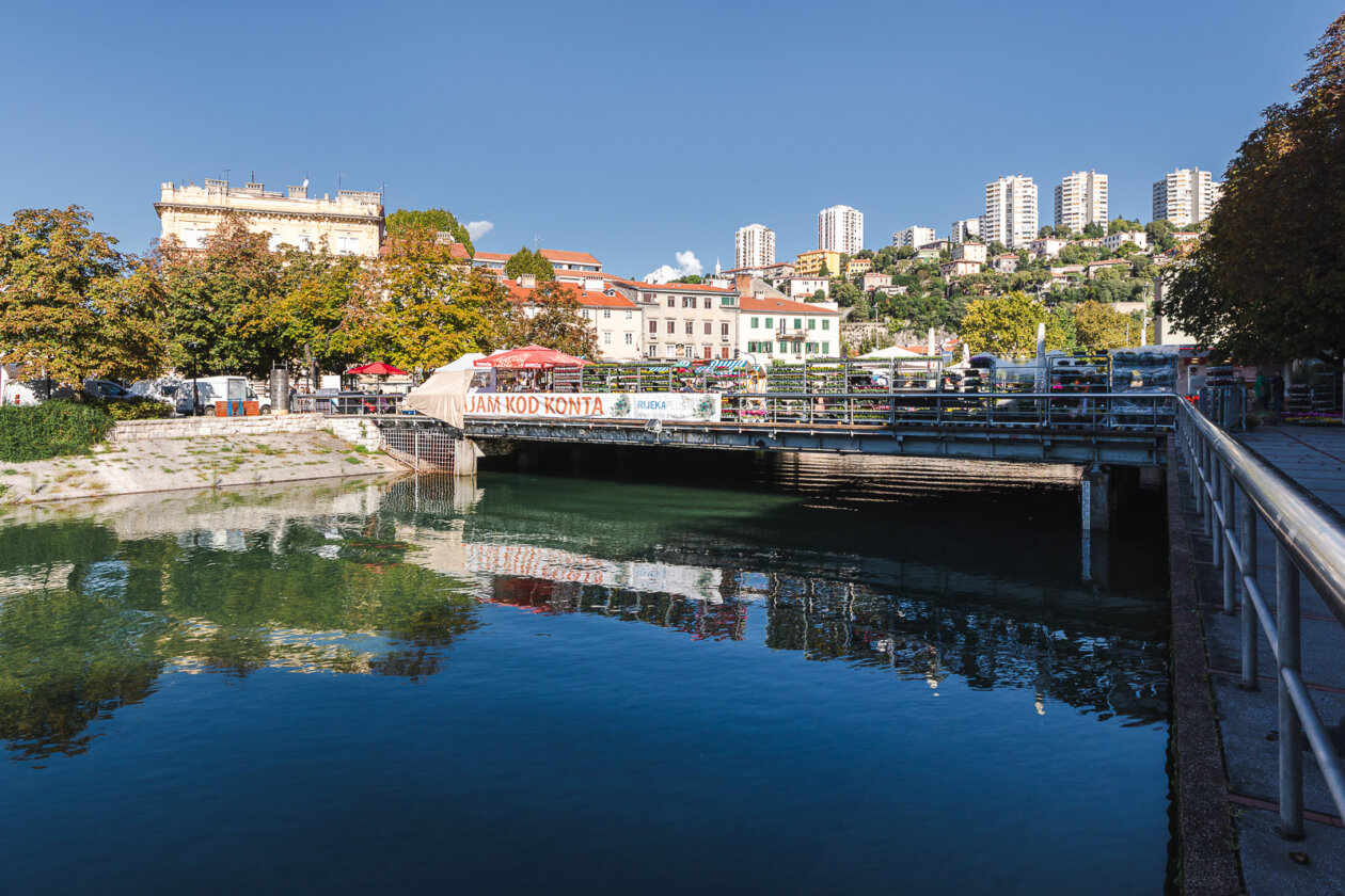 Cvjetni sajam kod Konta-0863 Cvjetni sajam kod Konta-0863