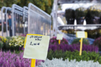 Cvjetni sajam kod Konta-0873 Cvjetni sajam kod Konta-0873