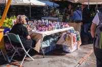 Cvjetni sajam kod Konta-0884 Cvjetni sajam kod Konta-0884