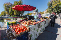 Cvjetni sajam kod Konta-0889 Cvjetni sajam kod Konta-0889