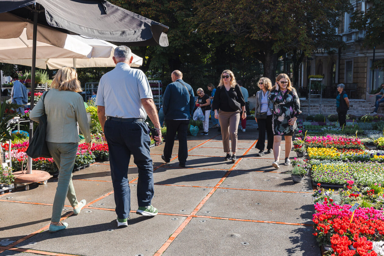 Cvjetni sajam kod Konta-0891 Cvjetni sajam kod Konta-0891