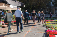 Cvjetni sajam kod Konta-0891 Cvjetni sajam kod Konta-0891