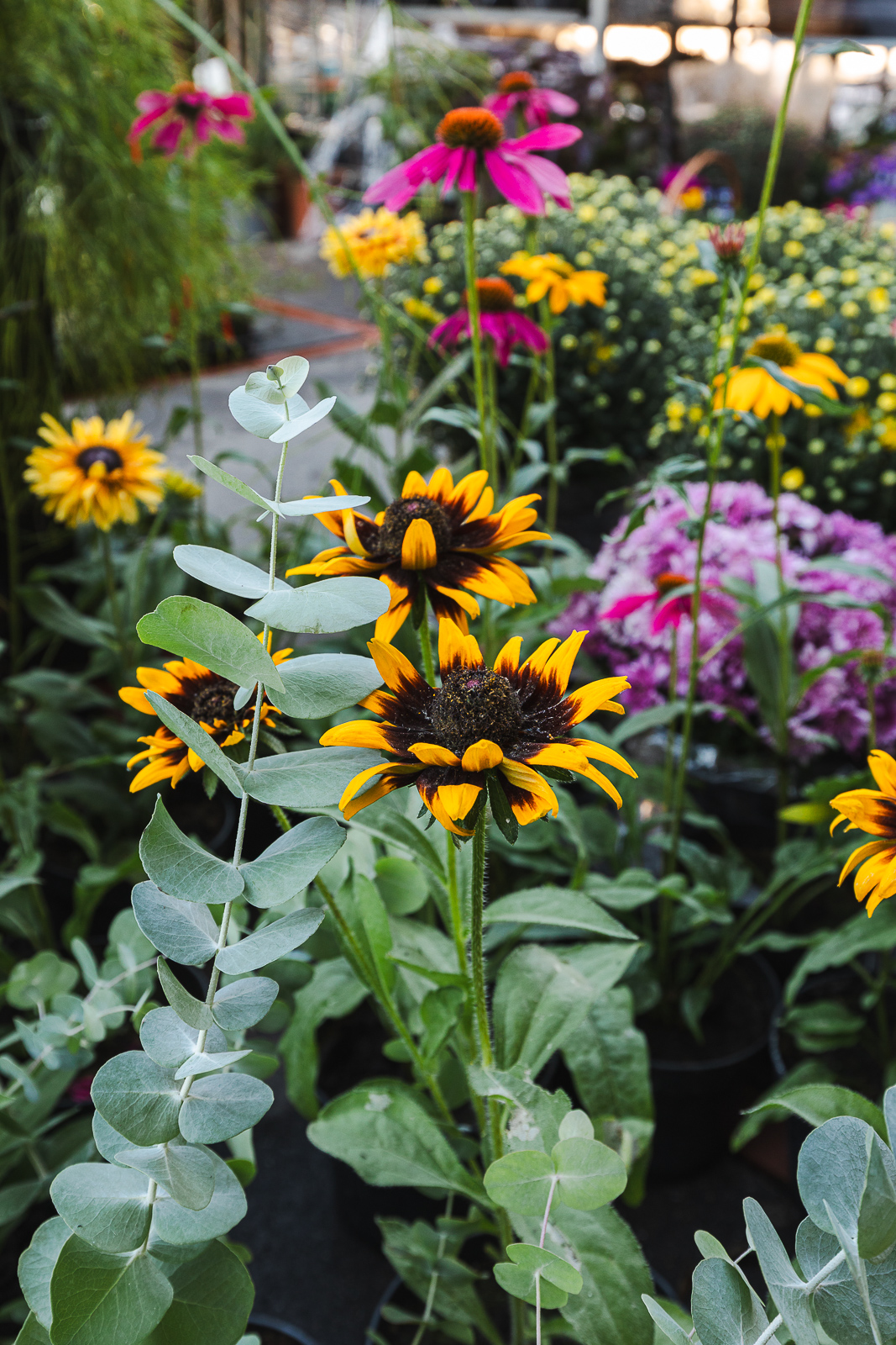 Cvjetni sajam kod Konta-0900 Cvjetni sajam kod Konta-0900