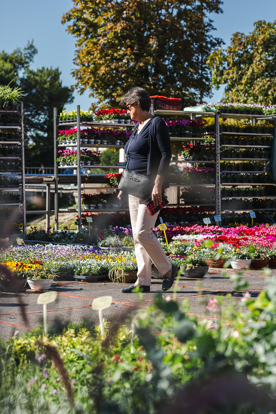 Cvjetni sajam kod Konta-0910 Cvjetni sajam kod Konta-0910