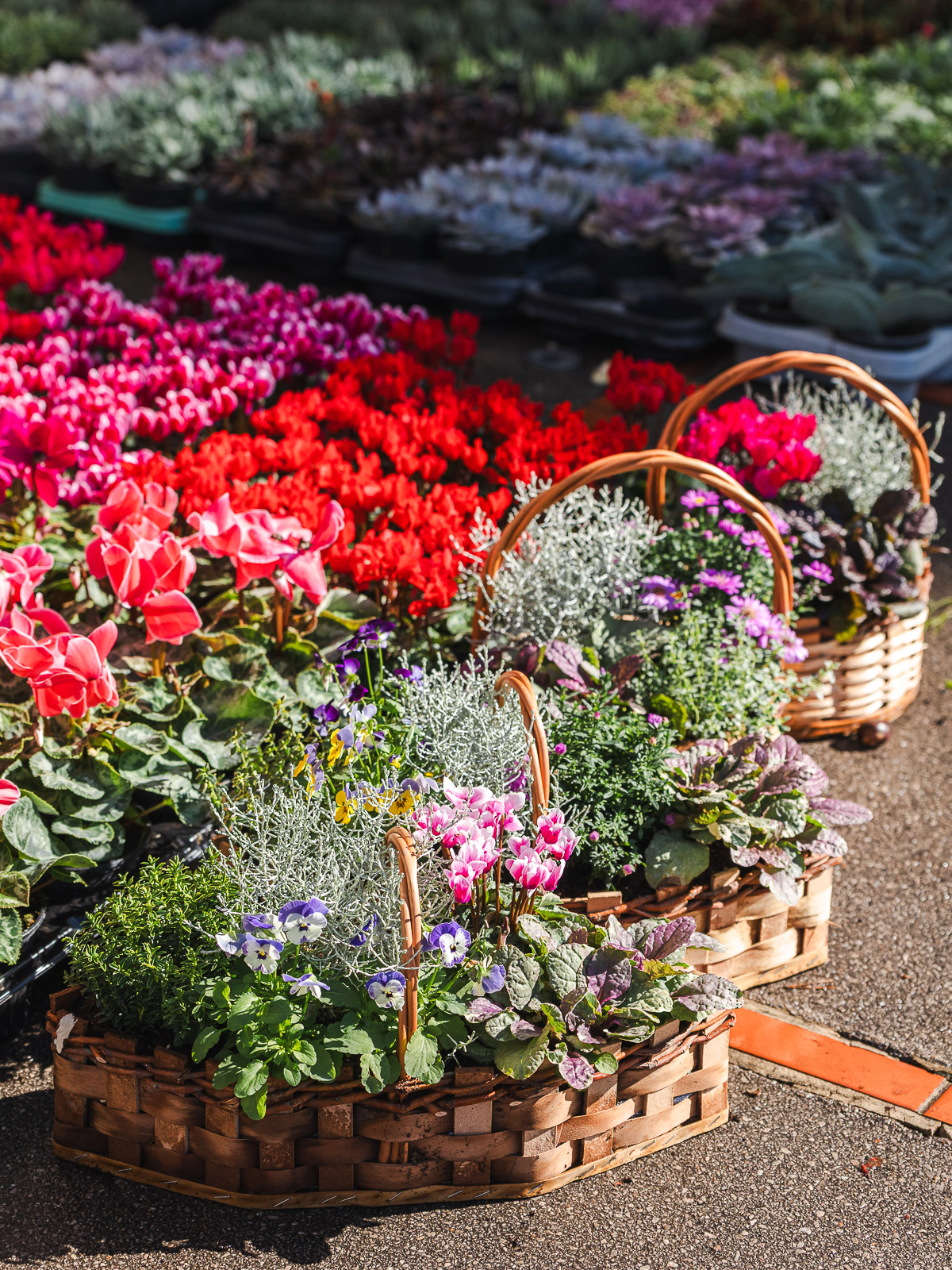 Cvjetni sajam kod Konta-0915 Cvjetni sajam kod Konta-0915