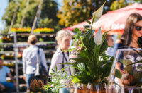 Cvjetni sajam kod Konta-0920 Cvjetni sajam kod Konta-0920