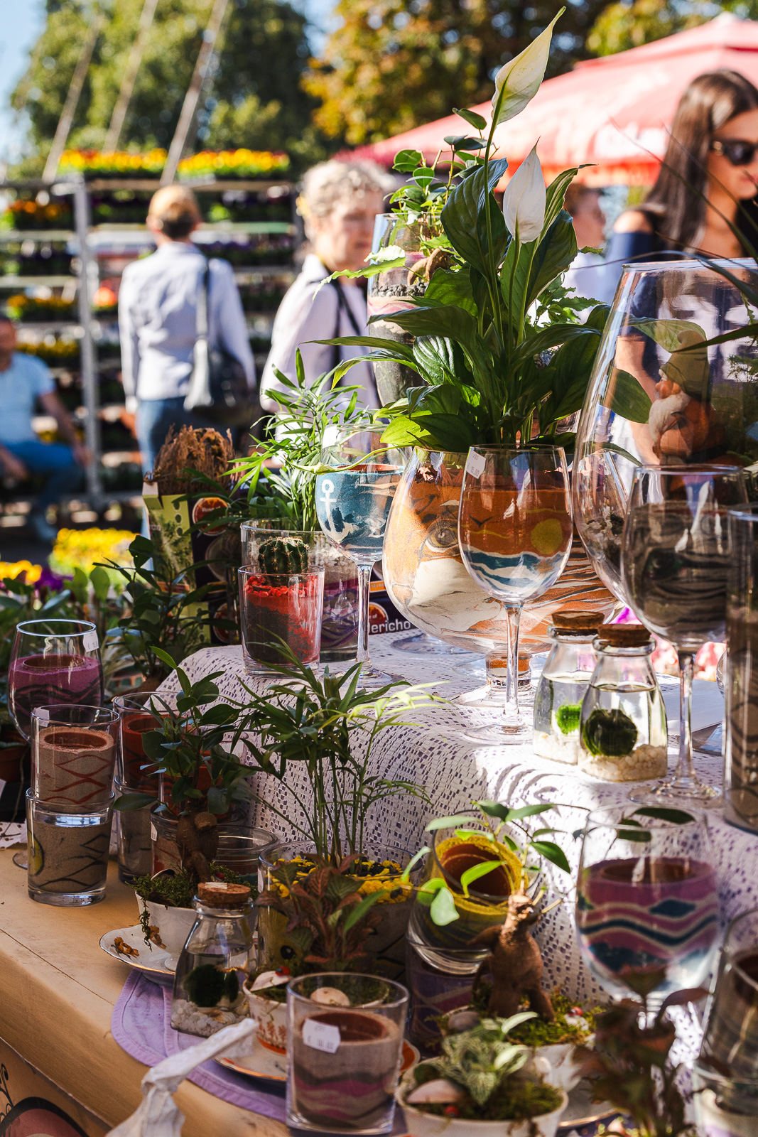 Cvjetni sajam kod Konta-0920 Cvjetni sajam kod Konta-0920