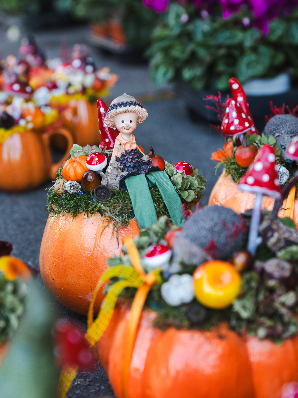 Cvjetni sajam kod Konta-0929 Cvjetni sajam kod Konta-0929