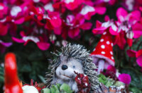 Cvjetni sajam kod Konta-0932 Cvjetni sajam kod Konta-0932