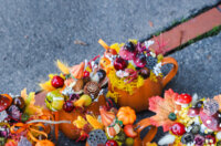 Cvjetni sajam kod Konta-0937 Cvjetni sajam kod Konta-0937