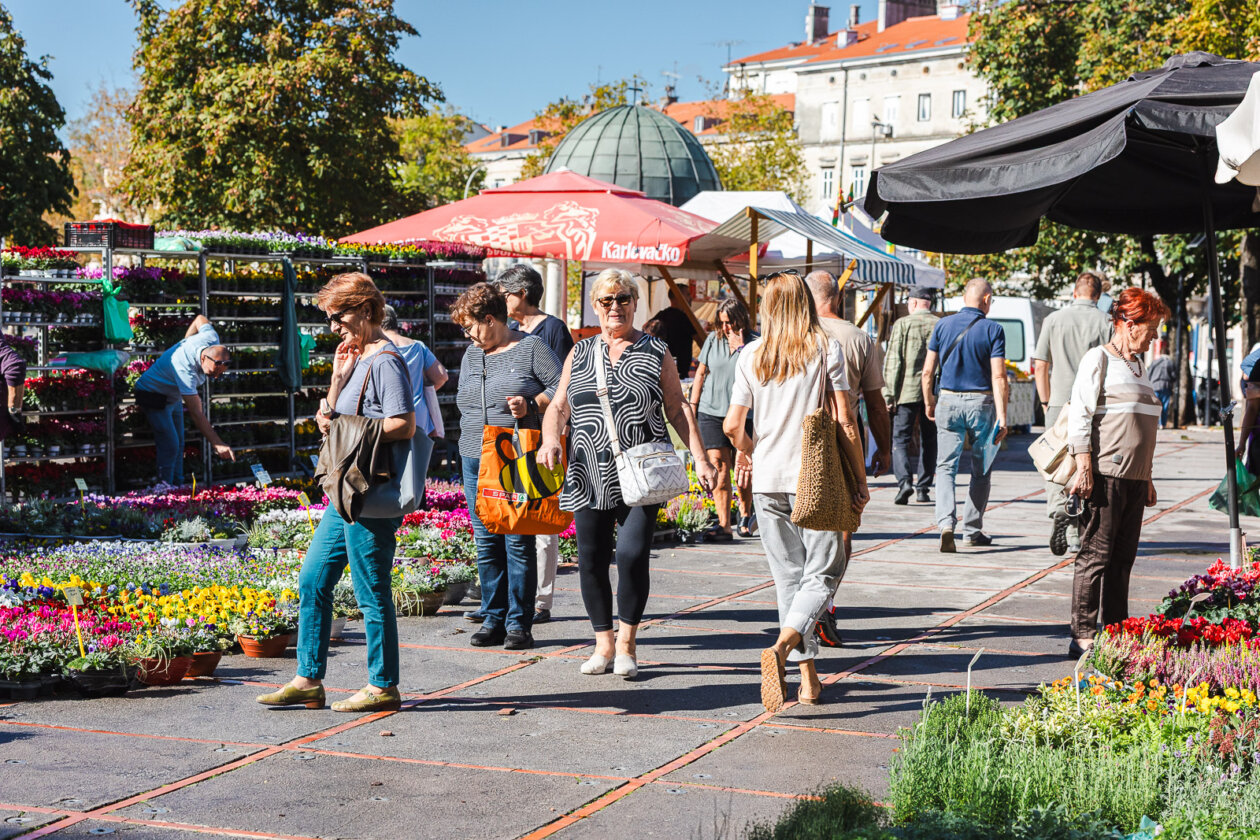 Cvjetni sajam kod Konta-0942 Cvjetni sajam kod Konta-0942