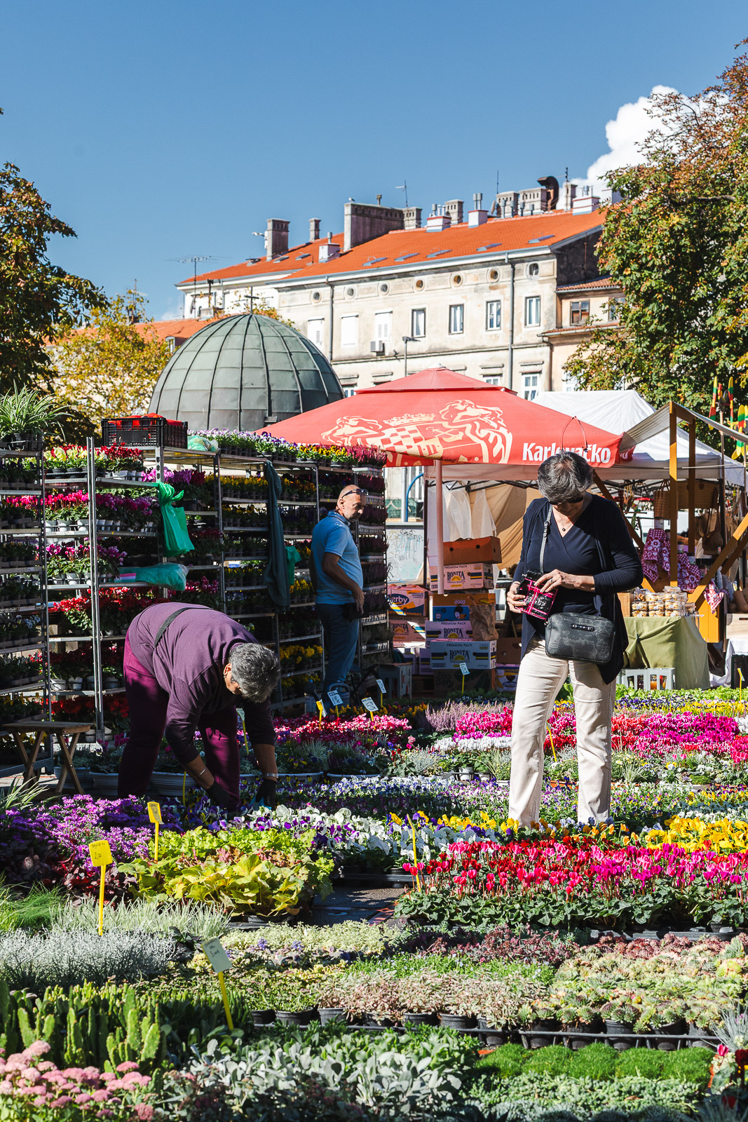 Cvjetni sajam kod Konta-0947 Cvjetni sajam kod Konta-0947